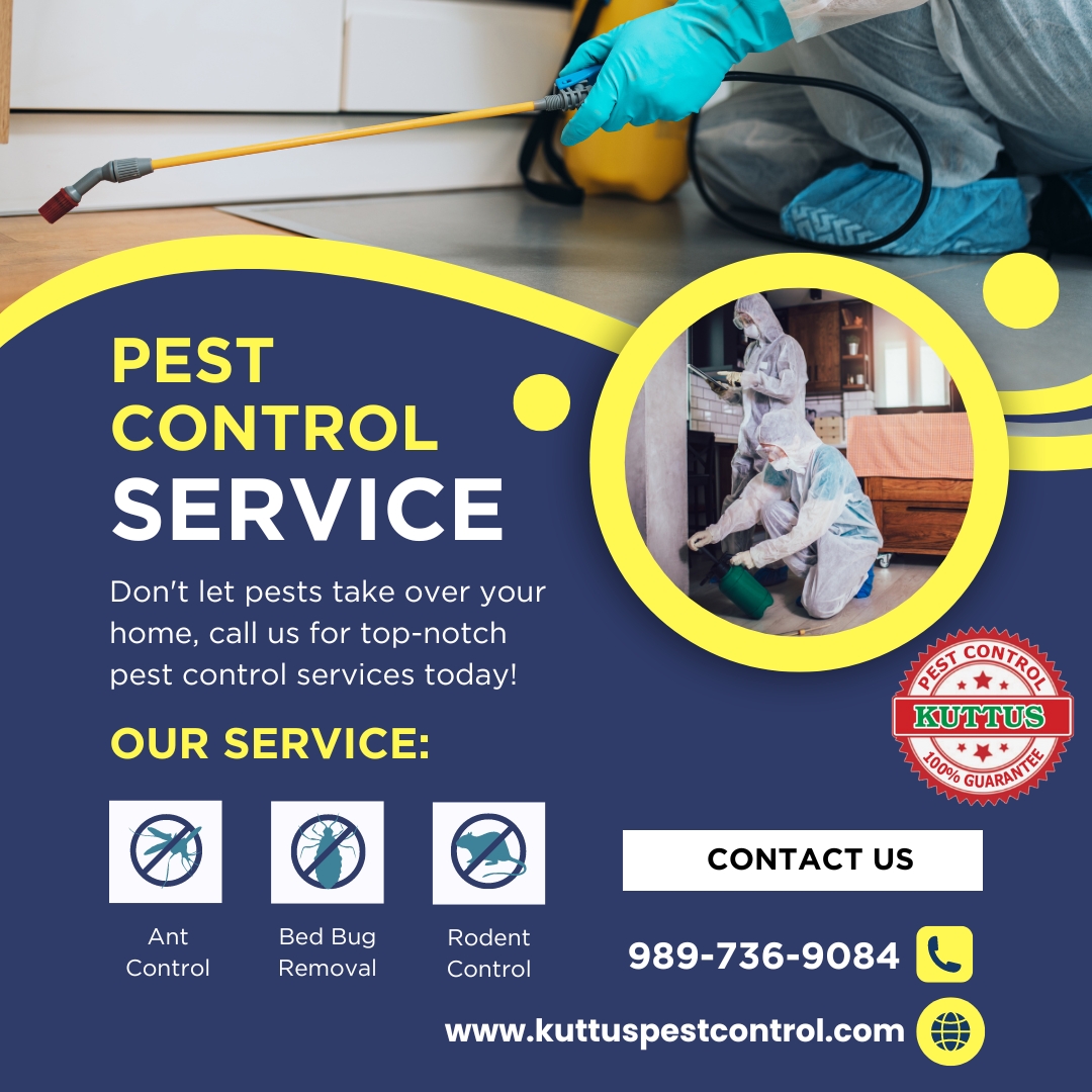 Pest Control Services in Meerut
